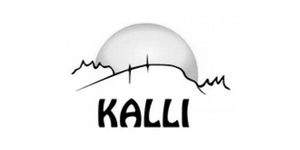 Kalli Talenom referenssi – kopio