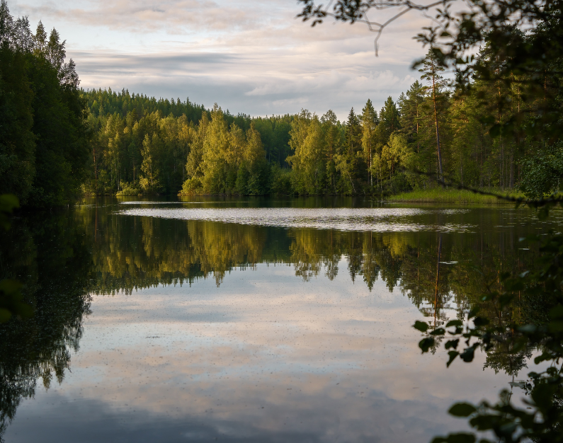 Talenom tilitoimisto laukaa