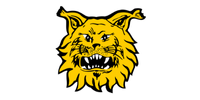 Ilves Jalkapallo Oy
