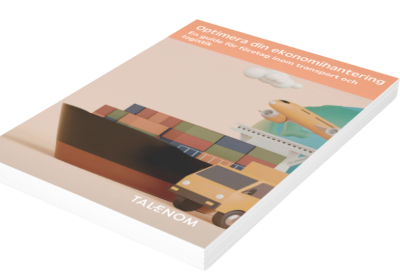 GUIDE- mockup bok (1)