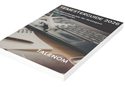 GUIDE- mockup bok (2)